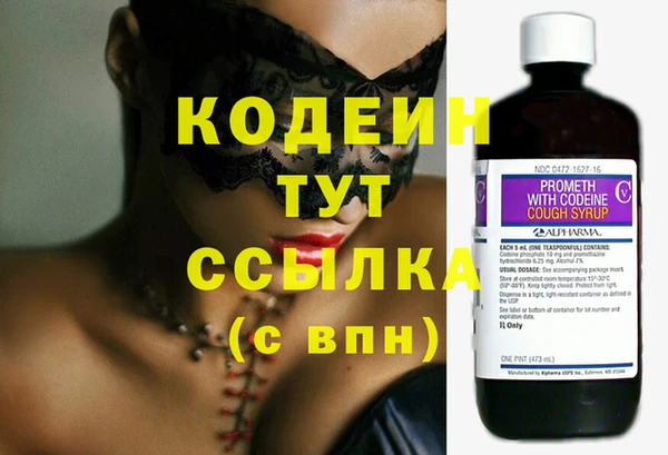 индика Фурманов